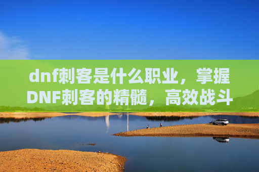 dnf刺客是什么职业，掌握DNF刺客的精髓，高效战斗与策略指南