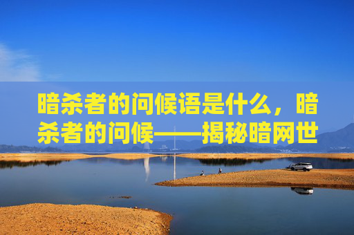 暗杀者的问候语是什么，暗杀者的问候——揭秘暗网世界中的神秘交易