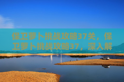 保卫萝卜挑战攻略37关，保卫萝卜挑战攻略37，深入解析与实用技巧