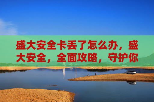 盛大安全卡丢了怎么办，盛大安全，全面攻略，守护你的数字世界