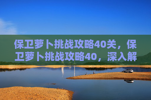 保卫萝卜挑战攻略40关，保卫萝卜挑战攻略40，深入解析与实用技巧