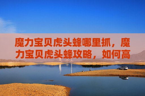 魔力宝贝虎头蜂哪里抓，魔力宝贝虎头蜂攻略，如何高效利用你的资源