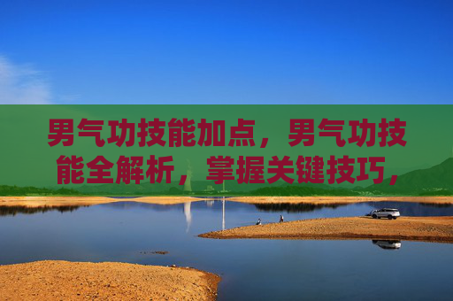 男气功技能加点，男气功技能全解析，掌握关键技巧，提升战斗效率