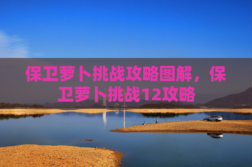 保卫萝卜挑战攻略图解，保卫萝卜挑战12攻略