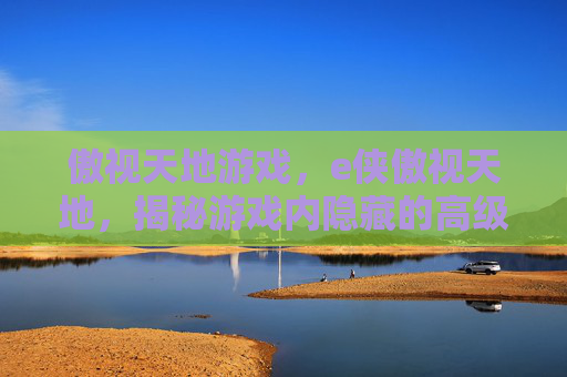 傲视天地游戏，e侠傲视天地，揭秘游戏内隐藏的高级技巧与策略