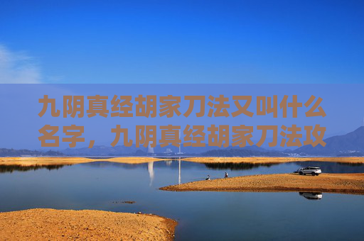 九阴真经胡家刀法又叫什么名字，九阴真经胡家刀法攻略