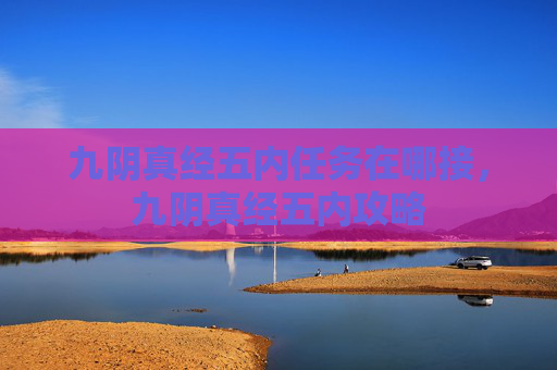 九阴真经五内任务在哪接，九阴真经五内攻略