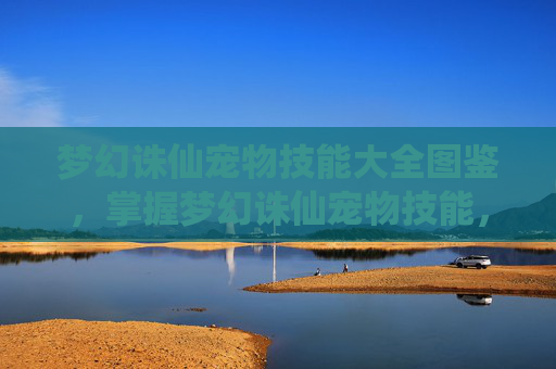 梦幻诛仙宠物技能大全图鉴，掌握梦幻诛仙宠物技能，让你的坐骑成为战场上的得力助手