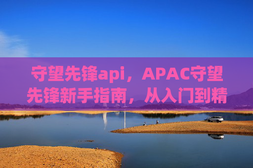守望先锋api，APAC守望先锋新手指南，从入门到精通的全面攻略