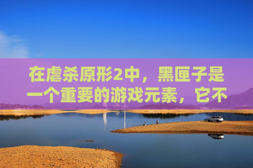 在虐杀原形2中，黑匣子是一个重要的游戏元素，它不仅提供了丰富的资源，还隐藏着一些秘密。以下是关于如何找到黑匣子的详细攻略