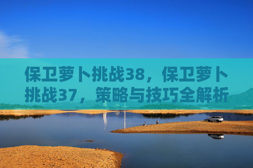 保卫萝卜挑战38,保卫萝卜挑战37,策略与技巧全解析 保卫萝卜挑战38,保卫萝卜挑战37,策略与技巧全解析