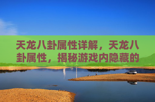天龙八卦属性详解,天龙八卦属性,揭秘游戏内隐藏的力量 天龙八卦属性详解,天龙八卦属性,揭秘游戏内隐藏的力量