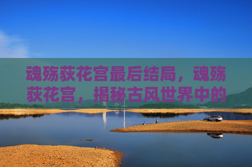 魂殇荻花宫最后结局，魂殇荻花宫，揭秘古风世界中的神秘秘境
