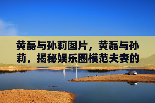 黄磊与孙莉图片，黄磊与孙莉，揭秘娱乐圈模范夫妻的甜蜜秘诀