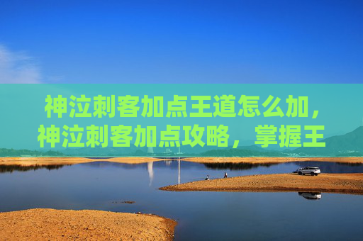 神泣刺客加点王道怎么加，神泣刺客加点攻略，掌握王道技巧，成为游戏中的终极刺客