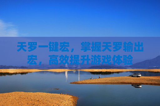 天罗一键宏，掌握天罗输出宏，高效提升游戏体验