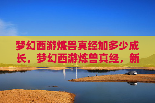 梦幻西游炼兽真经加多少成长，梦幻西游炼兽真经，新手玩家必知的炼兽技巧与策略