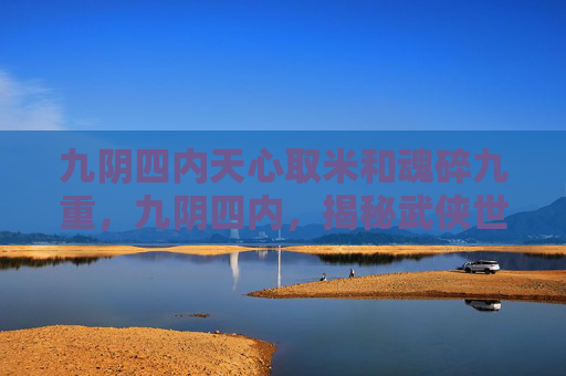 九阴四内天心取米和魂碎九重，九阴四内，揭秘武侠世界的秘密武器