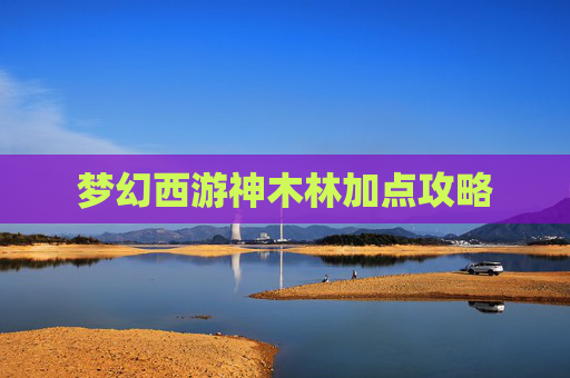 梦幻西游神木林加点攻略 梦幻西游神木林加点攻略