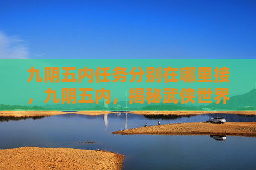 九阴五内任务分别在哪里接，九阴五内，揭秘武侠世界里的神秘武学