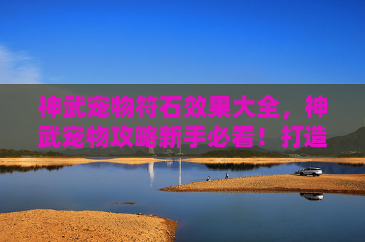神武宠物符石效果大全，神武宠物攻略新手必看！打造你的专属战斗伙伴