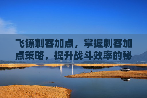 飞镖刺客加点，掌握刺客加点策略，提升战斗效率的秘诀