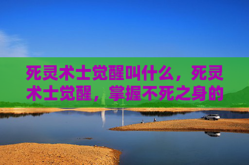 死灵术士觉醒叫什么，死灵术士觉醒，掌握不死之身的终极技巧
