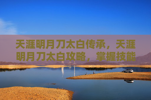 天涯明月刀太白传承,天涯明月刀太白攻略,掌握技能、装备与战斗技巧 天涯明月刀太白传承,天涯明月刀太白攻略,掌握技能、装备与战斗技巧