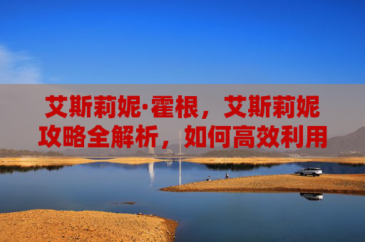 艾斯莉妮·霍根，艾斯莉妮攻略全解析，如何高效利用资源与技巧，提升游戏体验