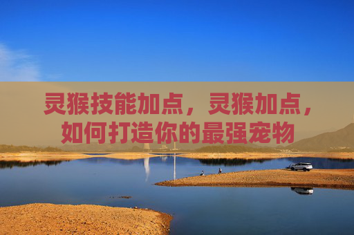 灵猴技能加点,灵猴加点,如何打造你的最强宠物 灵猴技能加点,灵猴加点,如何打造你的最强宠物