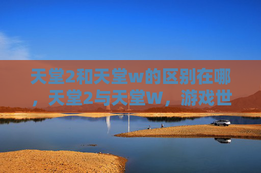 天堂2和天堂w的区别在哪,天堂2与天堂W,游戏世界的两大经典 天堂2和天堂w的区别在哪,天堂2与天堂W,游戏世界的两大经典