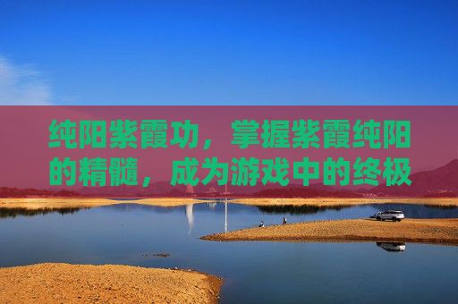 纯阳紫霞功,掌握紫霞纯阳的精髓,成为游戏中的终极战士 纯阳紫霞功,掌握紫霞纯阳的精髓,成为游戏中的终极战士