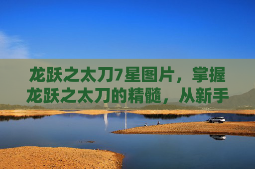 龙跃之太刀7星图片，掌握龙跃之太刀的精髓，从新手到高手的进阶攻略