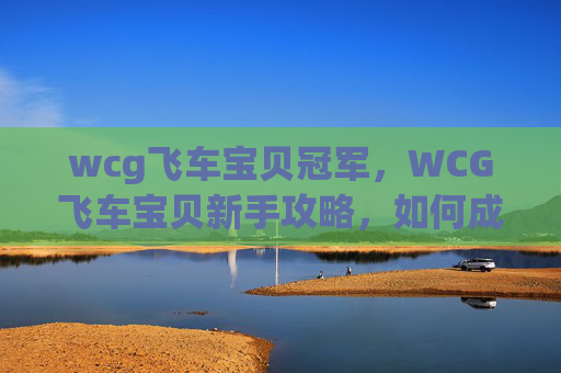 wcg飞车宝贝冠军，WCG飞车宝贝新手攻略，如何成为赛道上的佼佼者