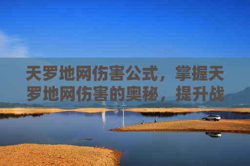 天罗地网伤害公式，掌握天罗地网伤害的奥秘，提升战斗效率的策略