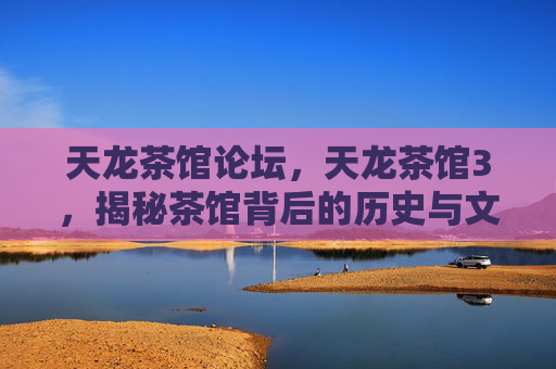天龙茶馆论坛，天龙茶馆3，揭秘茶馆背后的历史与文化