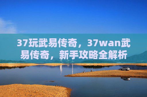 37玩武易传奇，37wan武易传奇，新手攻略全解析