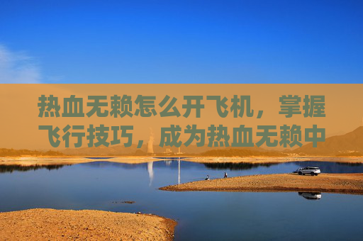 热血无赖怎么开飞机，掌握飞行技巧，成为热血无赖中的空中霸主