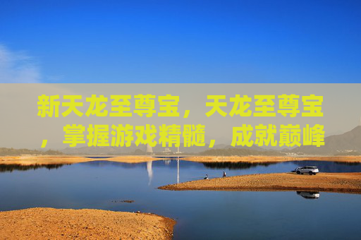 新天龙至尊宝，天龙至尊宝，掌握游戏精髓，成就巅峰之路