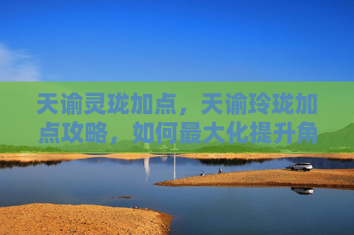 天谕灵珑加点，天谕玲珑加点攻略，如何最大化提升角色潜力？