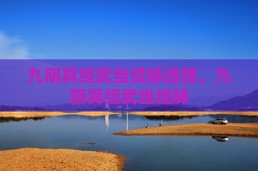 九阴真经武当经脉选择,九阴真经武当经脉 九阴真经武当经脉选择,九阴真经武当经脉