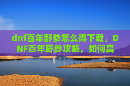 dnf百年野参怎么得下载,DNF百年野参攻略,如何高效获取与利用 dnf百年野参怎么得下载,DNF百年野参攻略,如何高效获取与利用