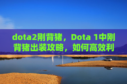 dota2刚背猪，Dota 1中刚背猪出装攻略，如何高效利用这件装备