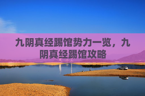 九阴真经踢馆势力一览，九阴真经踢馆攻略