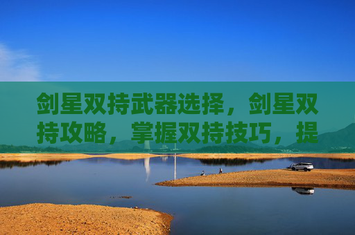 剑星双持武器选择，剑星双持攻略，掌握双持技巧，提升战斗效率