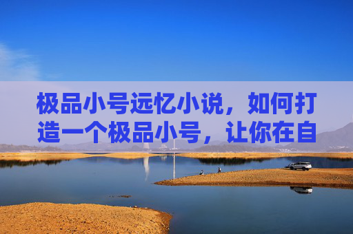 极品小号远忆小说，如何打造一个极品小号，让你在自媒体领域脱颖而出