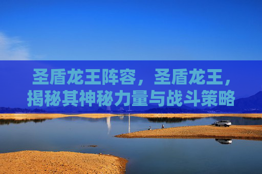 圣盾龙王阵容，圣盾龙王，揭秘其神秘力量与战斗策略