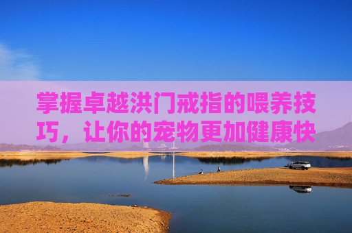 掌握卓越洪门戒指的喂养技巧，让你的宠物更加健康快乐