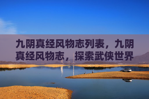 九阴真经风物志列表，九阴真经风物志，探索武侠世界中的神秘宝藏