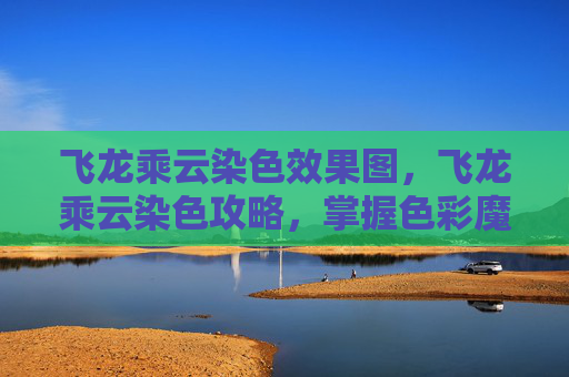 飞龙乘云染色效果图，飞龙乘云染色攻略，掌握色彩魔法，让你的角色焕发新生！